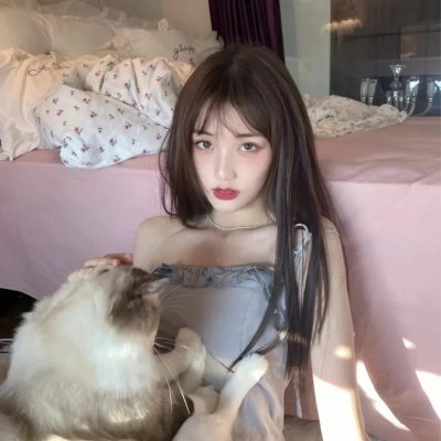 盗贼生涯